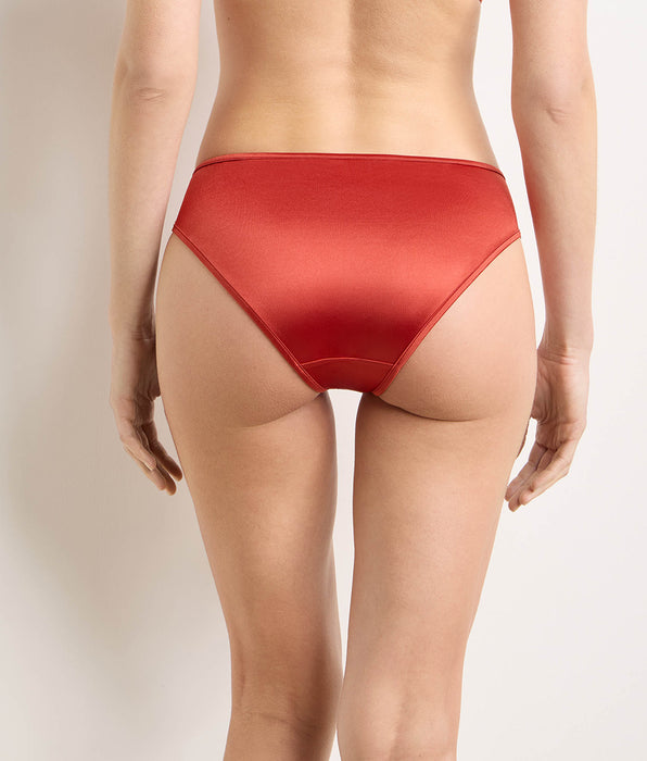 DIM Slip cannella speziata Dim x Ines de la Fressange